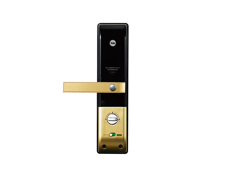 Image: 0b32b-ydm3109goldback.png