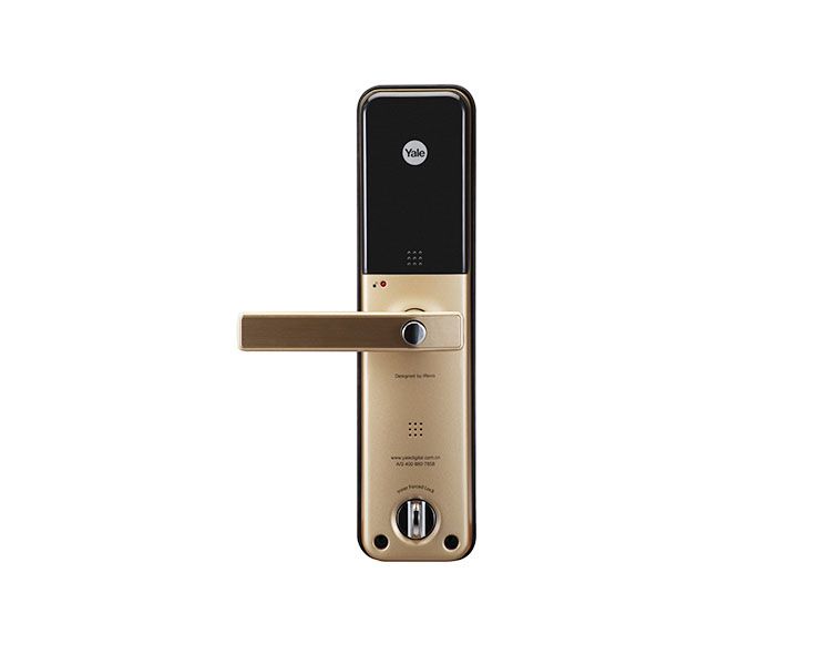 Image: 75af2-ydm7111goldback.png