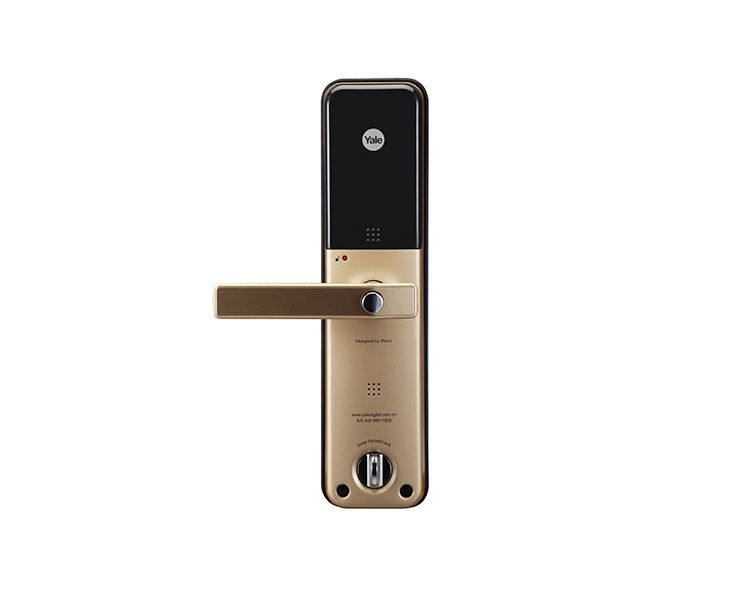 Image: a018d-ydm3211goldback.png
