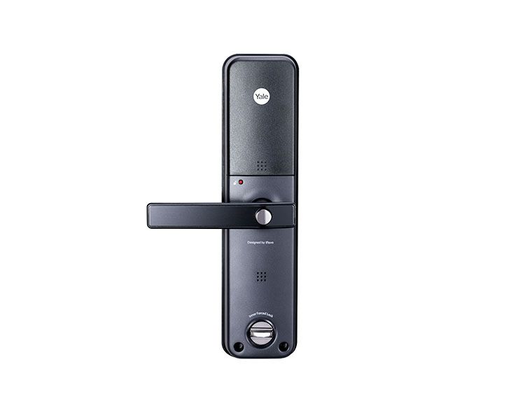Image: d9dfe-ydm3211silverback.png