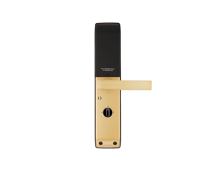 Image: e5dbc-zen-fgoldback.png