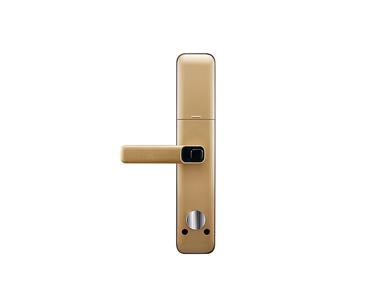 Image: e784c-ymh71goldback.jpg